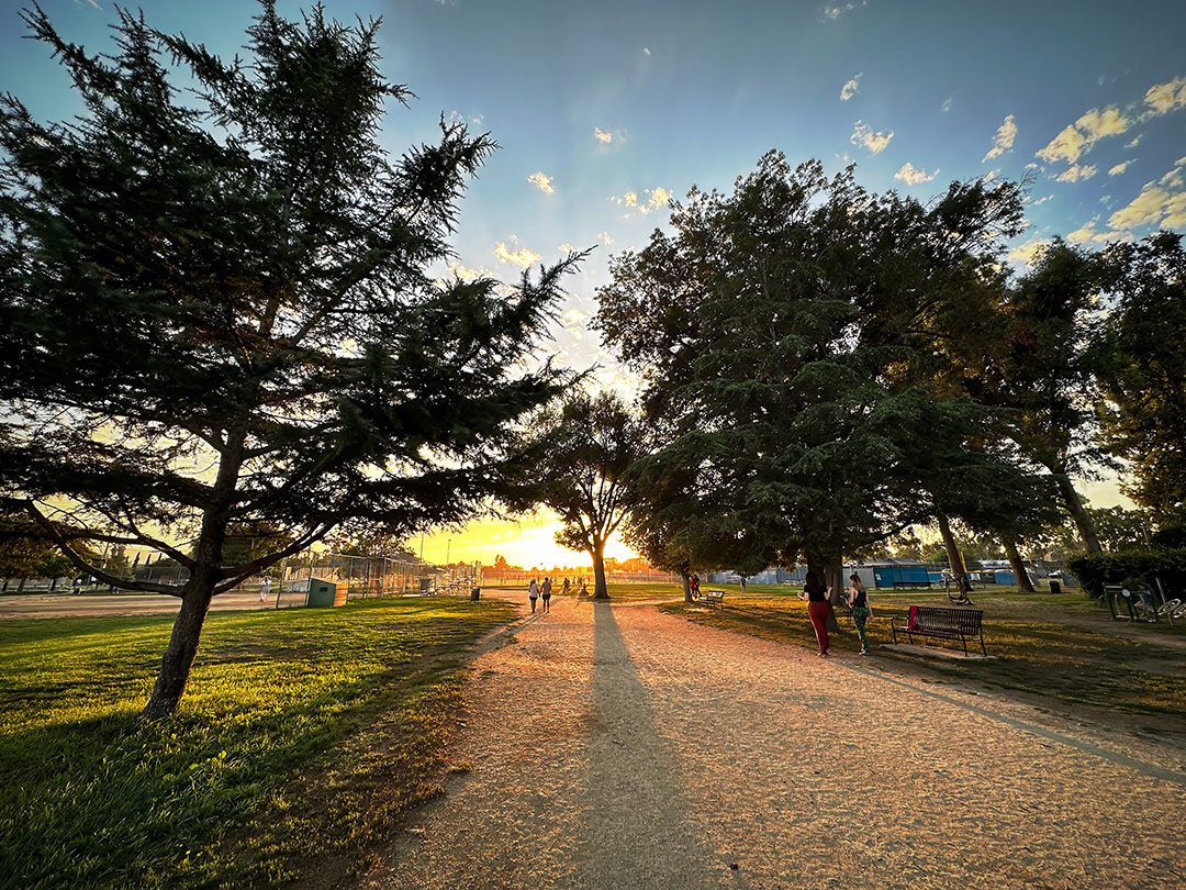 A Walk In the Park